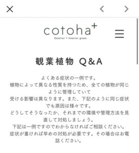 京都二条 cotoha（コトハ） 購入の流れ・アフターフォロー